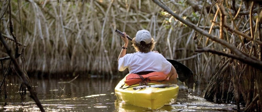 kayaking in Puerto Escondido Mangrove