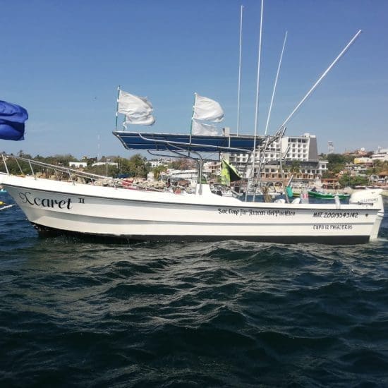 yacht puerto escondido