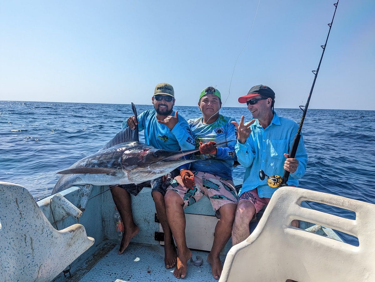 fishing sailfish