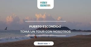 tours en puerto escondido oaxaca