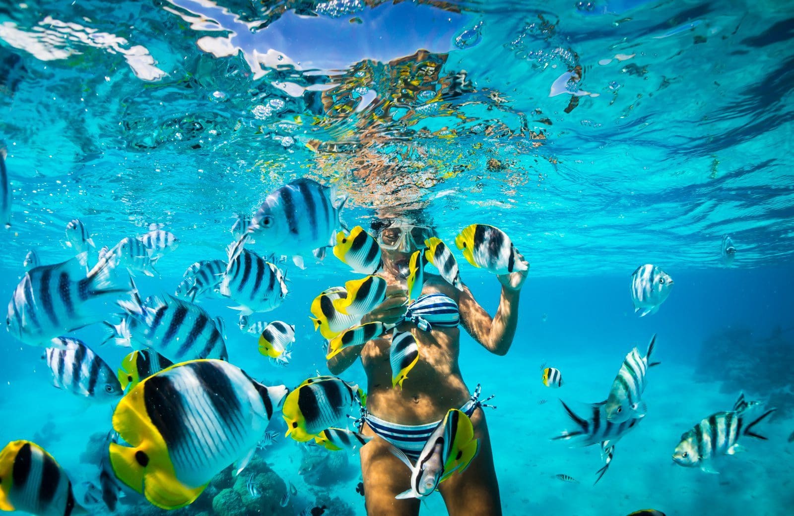 snorkeling banner